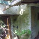 신덕리 ~ 인지리 이미지