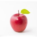 스카이휘트니스헬스 이미지