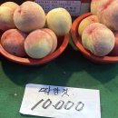 세븐스타 코인노래연습장 여수웅천점 | 난 이제 갤럭시를 쓴다