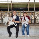 방목농장 이미지