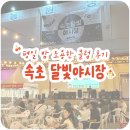 [강원|속초] 속초 이색 놀거리 추천 : 달빛야시장(조용한 클럽 후기)