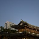 [서울] 서울 을지로 칼로리 낮고 콜라겐 듬뿍 무뼈닭발과 매운족발 맛집 화육계 내돈내산 후기