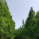 큰재봉길 이미지