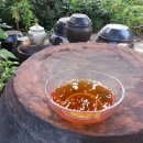 자연1호 이미지