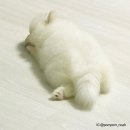 금비동물병원 이미지