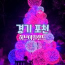 포천 허브아일랜드 관광안내소 | 포천 허브아일랜드 불빛동화축제 아이와 야간개장 주차 꿀팁