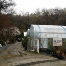 서울종묘사 이미지