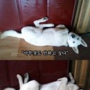 등명중학교 이미지