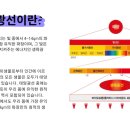 바이오포톤테라피 이미지