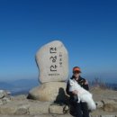양산카마스타