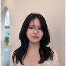 명품헤어 - 중랑구 | 명품헤어