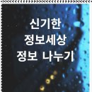 비즈테크온(주) 자기소개서 대필로 꿈을 향해 쭉 달려보세요