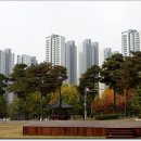 화랑유원지 이미지