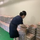 금대유통