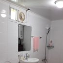 정이품송캠핑장 이미지