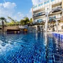 애견풀하우스 이미지