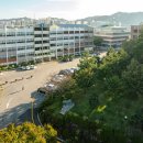 동강대자연 이미지