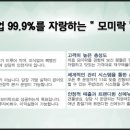 모미락멤버스