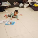 소노펠리체비발디파크 이미지