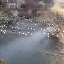 천국은불타고있다 이미지