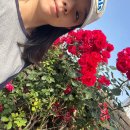 스테이지리산아침 이미지