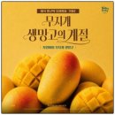 부산 동래구 명륜동 샤브샤브 맛집 추천 | 샤브올데이 부산명륜점 망고 올데이