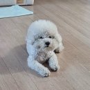 공단로70번길 R | Aug_1