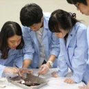 분당중앙고등학교 이미지