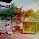 달코네민박 이미지