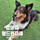 플레이 바우 이미지