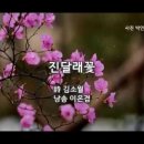 (시) 진달래꽃 . 초혼 - 김소월 이미지