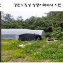 강림면351 이미지