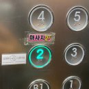 로하핏 스튜디오 이미지