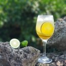 현주네농장 이미지