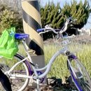 New제주약국 이미지