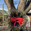 경상남도 수목원 | 진주 가볼만한곳 경상남도수목원 방문 후기 | 아기랑 함께 가기 좋은 곳 &amp; 가족 산책 코스