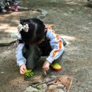 아름솔 유치원 이미지