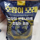 마마펫살롱 (동물판매업) | 모래 유목민 고양이 벤토나이트 모래 후기!2 (호랑이 모래)