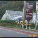 부남정류장 | 사금지맥 3구간(살해치-대진마을-부남리-일조봉-덕산해변-덕봉산-맹방해수욕장/해파랑길)