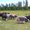 초원빌딩 이미지