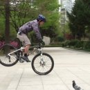 바니호프 이미지