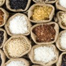 노란푸드 REAL FOODS