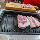 허씨며느리비 | 비오는 날 빗소리 들으며 추억저장 젊은 날의 꿈을 승화시킨 제주맛집 모구리식당 방문 후기