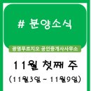운정3지구 a31블럭 행복주택 앞 사거리(1) | 분양정보 (11월 첫째 주)