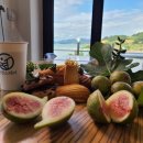 가연스테이& 가연팜 이미지