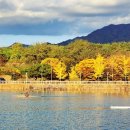 강변에서 이미지