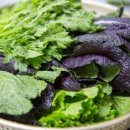 수진궁한식부페 이미지