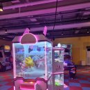 나인스시스템 | 안산 잭슨나인스 키즈카페 운영정보 및 후기