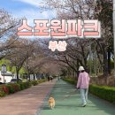체육공원로399번길 | 스포원파크 금정체육공원 산책 후기_노견 강아지와 여유로운 아침 나들이