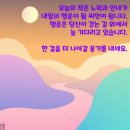 오늘의 날씨 (12월 11일 수요일) 입영 17일차 이미지